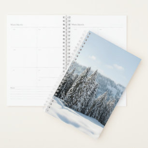 Agenda Gelo e neve Allgäu Bavaria Alemanha