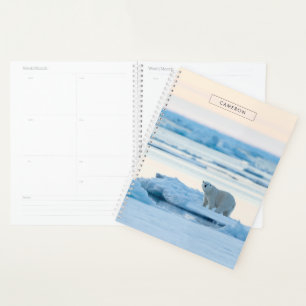 Agenda Gelo e neve   Polar Bear Iceberg Noruega