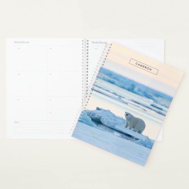 Agenda Gelo e neve | Polar Bear Iceberg Noruega (Exibição)