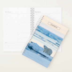Agenda Gelo e neve Polar Bear Iceberg Noruega
