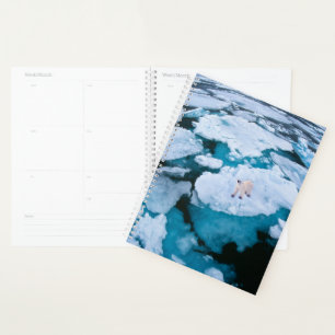 Agenda Gelo e neve   Urso Polar, Oceano Ártico, Svalbard