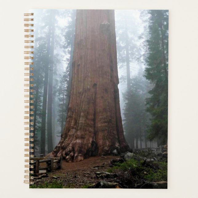 Agenda General Sherman Tree, Sequoia, CA (Frente)