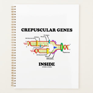 Agenda Genes Crepusculares Dentro DNA Humor
