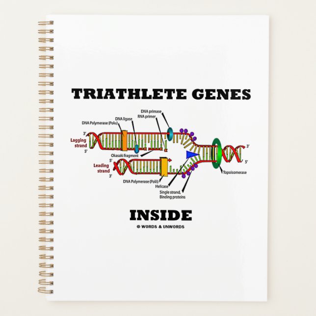 Agenda Genes de Triatleta Dentro da Replicação de DNA (Frente)