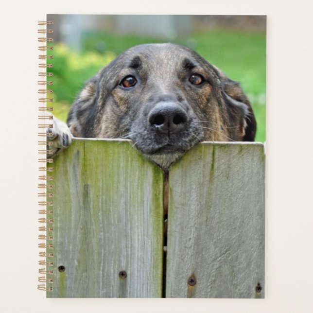 Agenda german shepherd olhando sobre a cerca (Frente)