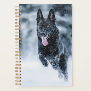 Agenda German shepherd preto no Cobrir da escova de neve