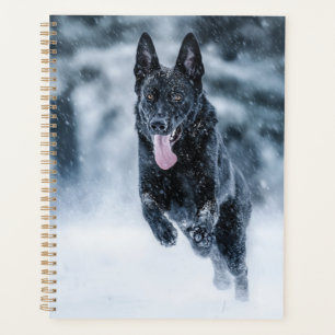 Agenda German shepherd preto no Cobrir da escova de neve