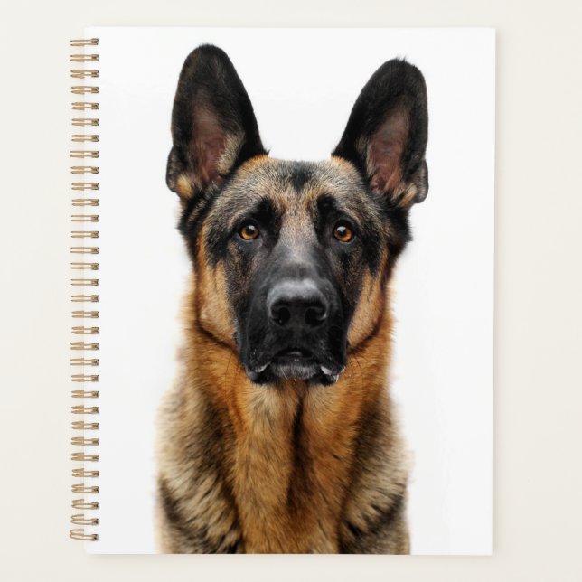 Agenda german shepherd Sentado (Frente)