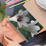 Agenda Giant Himalayan Lily Floral<br><div class="desc">Este planejador mensal/semanal mantém todas as suas atividades e agendas futuras organizadas num único local útil e apresenta uma imagem fotográfica das flores brancas do Giant Himalayan Lily,  em forma de trompete,  com centros avermelhados roxos. Um design floral adorável! Selecione o estilo do planejador e a cor do fio.</div>