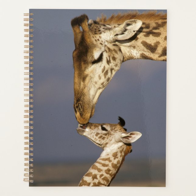 Agenda Girafa Beijando Girafa Bebê (Frente)