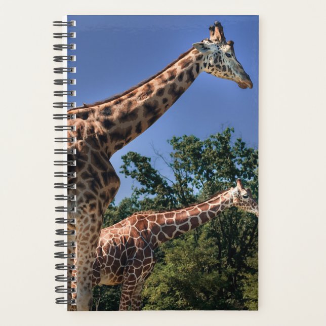 Agenda Girafas (Frente)
