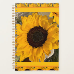 Agenda Girassol