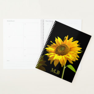 Agenda Girassol Brilhante no Fundo Negro