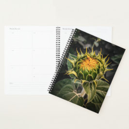 Agenda Girassol no Bloom Planner