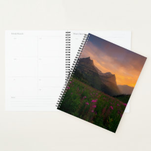 Agenda Glaciar Wildflower