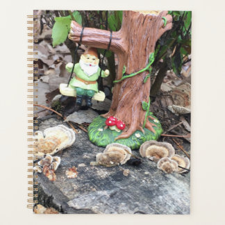 Agenda Gnomos florestais