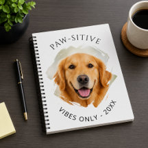 Golden Retriever Vibrações positivas foto 2027