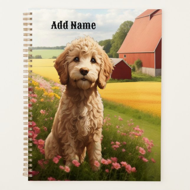 Agenda Goldendoodle (Frente)