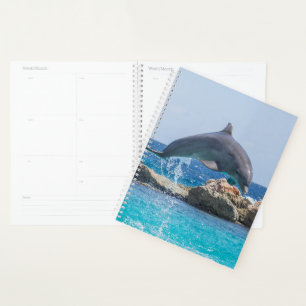 Agenda Golfinho