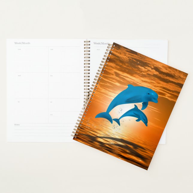 Agenda Golfinhos (Exibição)