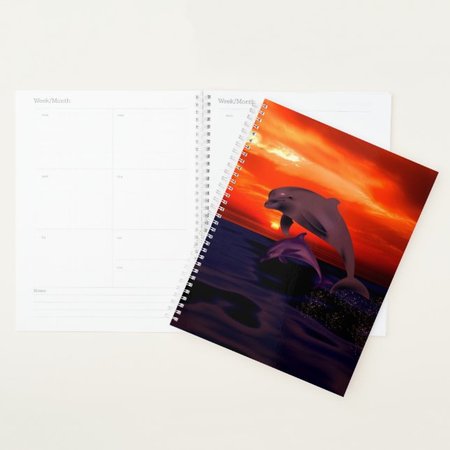 Agenda Golfinhos no Sunset (Exibição)