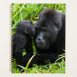 Agenda Gorila da Montanha Infantil Beija Gorila Macho Sil