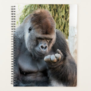 AGENDA GORILLA