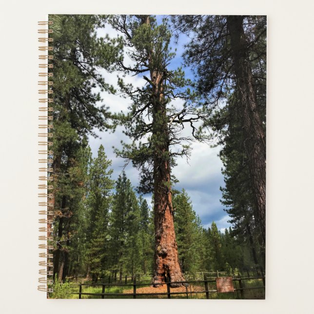 Agenda Grande Árvore Vermelha, La Pine, OU (Frente)