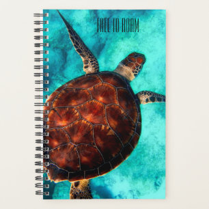 Agenda Gratuito para vaivém