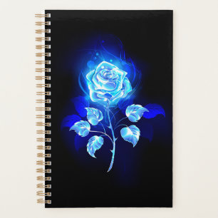 Agenda Gravação de Rosa Azul