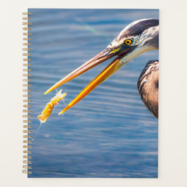 Agenda Great Blue Heron Hunting Prey Wildlife Art Print