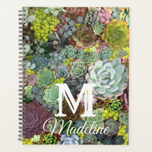 Agenda Greenery Succulents