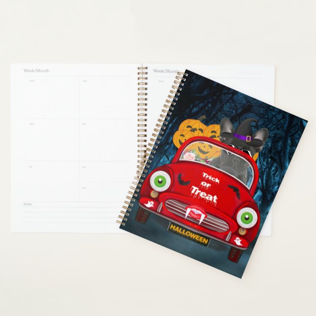 Agenda Halloween Francês, Dirigindo Automóvel, Assusta (Exibição)