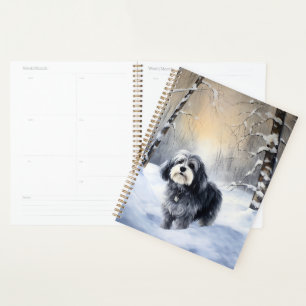Agenda Havanês Deixou-O Neve Natal