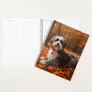 Agenda Havanês nas Folhas do outono Cai Inspire