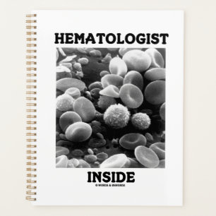 Agenda Hematologista Dentro Células sanguíneas