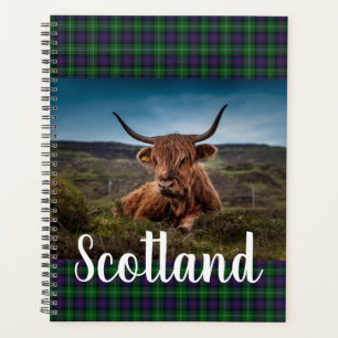 Agenda Highland Steer Scenic Scotland