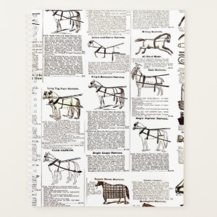Agenda Horse Antique Advertising Newpaper Art