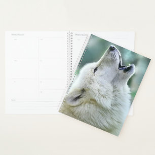 Agenda Howling Wolf
