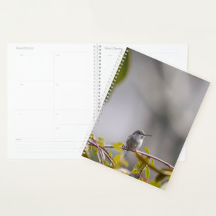 Agenda Hummingbird 3346
