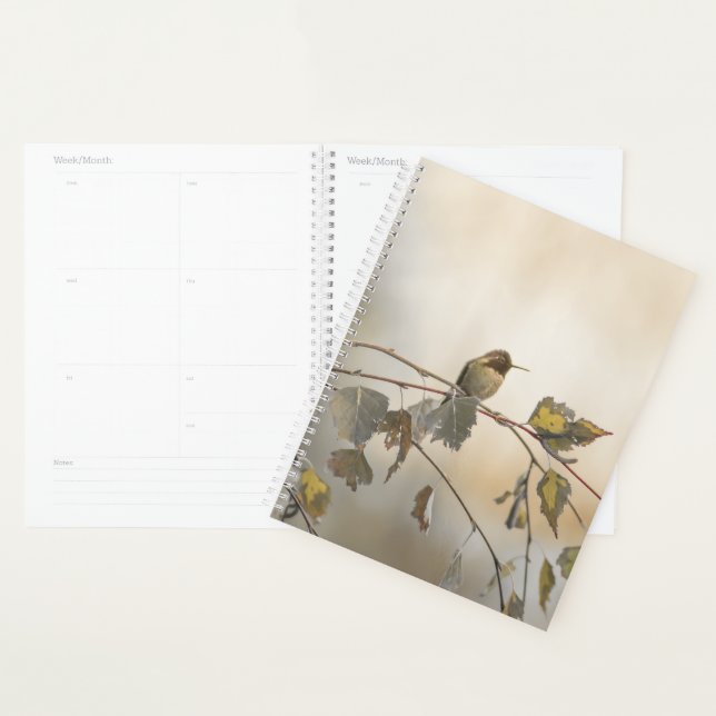 Agenda Hummingbird 5265 (Exibição)