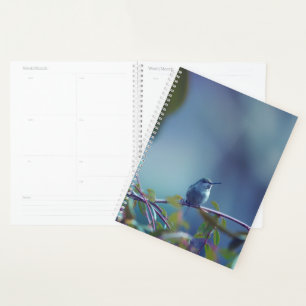 Agenda Hummingbird 5738