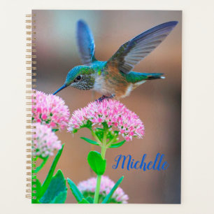 Agenda Hummingbird e Flores