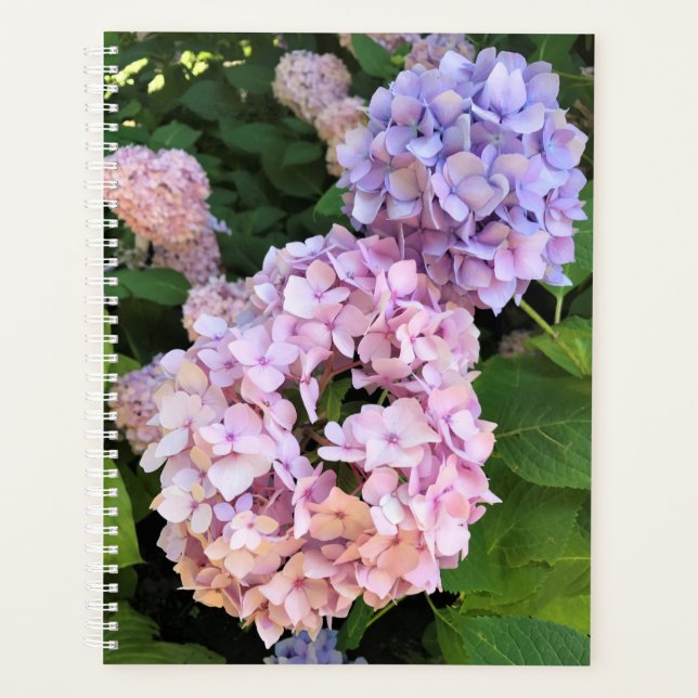 Agenda Hydrangeas (Frente)