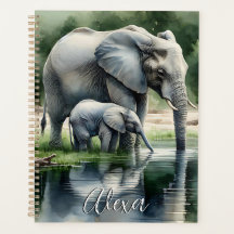 Ilustração de Aquarela de Mamãe e Elefante Bebê