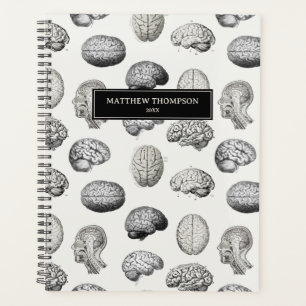 Agenda Ilustrações Antigas de Anatomia Cerebral Biologia
