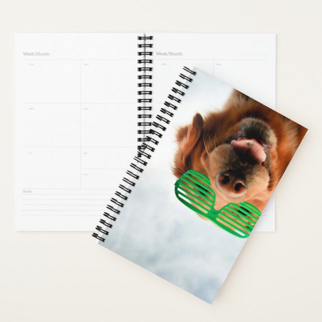 Agenda Imagens Getty | Cachorro Com Óculos (Exibição)