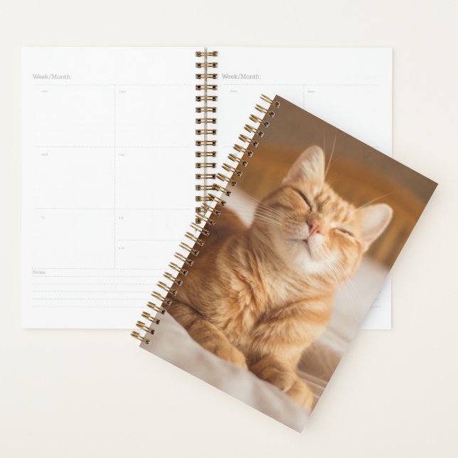 Agenda Imagens Getty | Gato Sonolento (Exibição)