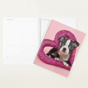 Agenda Imagens Getty   Puppy Love