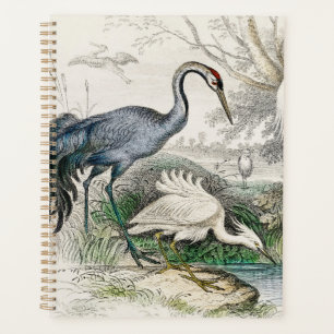 Agenda Impressão de Arte da Natureza de Garça, Cegonha e